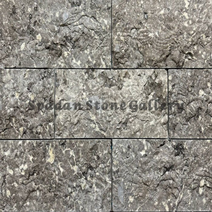 Shahyadi Gray Marble